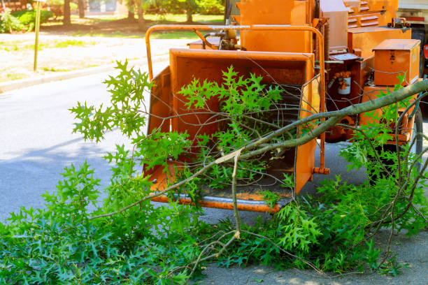 Lawn Grading and Leveling in Strasburg, CO